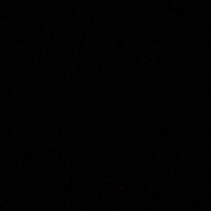 Meet your Posher, Brendon